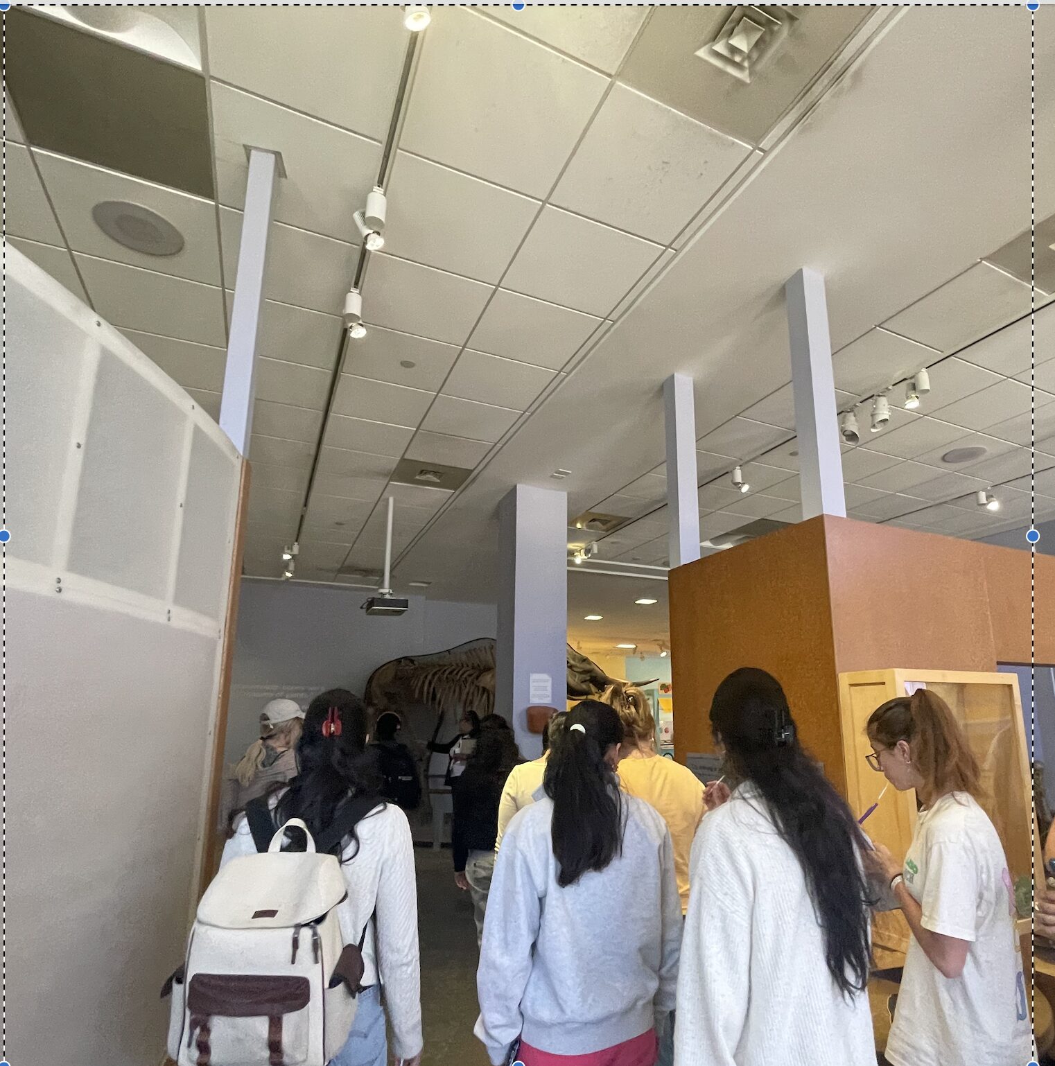 Students entering a museum gallery at CDM