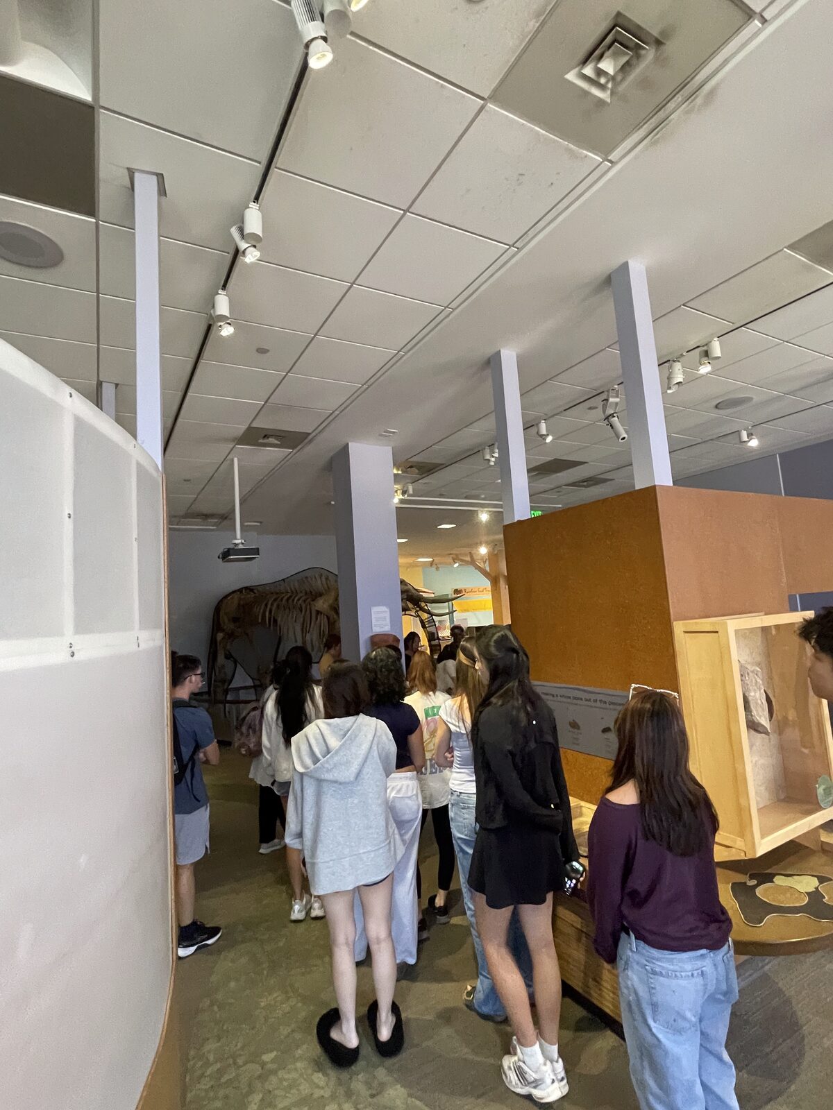 Students gathered around a dinosaur skeleton exhibit at CDM