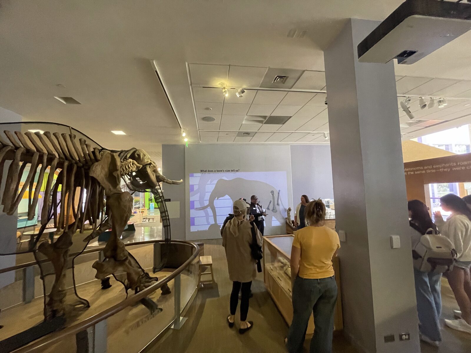 A mammoth skeleton exhibit at the Children's Discovery Museum of San Jose, with students looking on